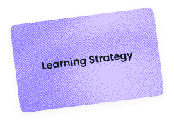 Learning Strategy